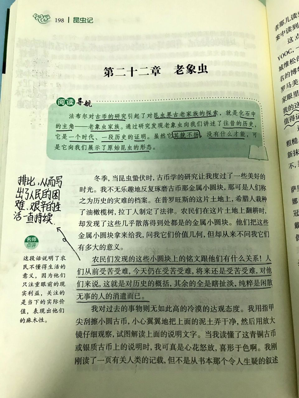 昆虫记第二十二章《老象虫》批注(上)