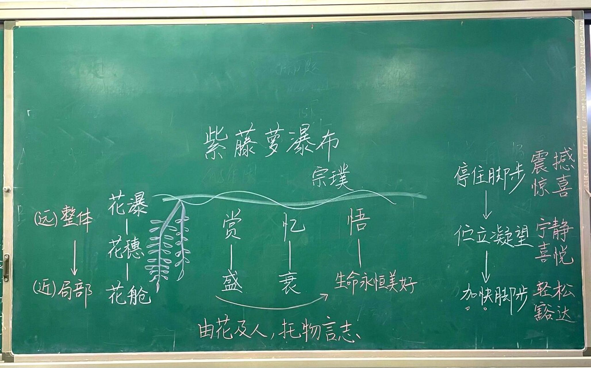 七年级下册《紫藤萝瀑布》板书设计