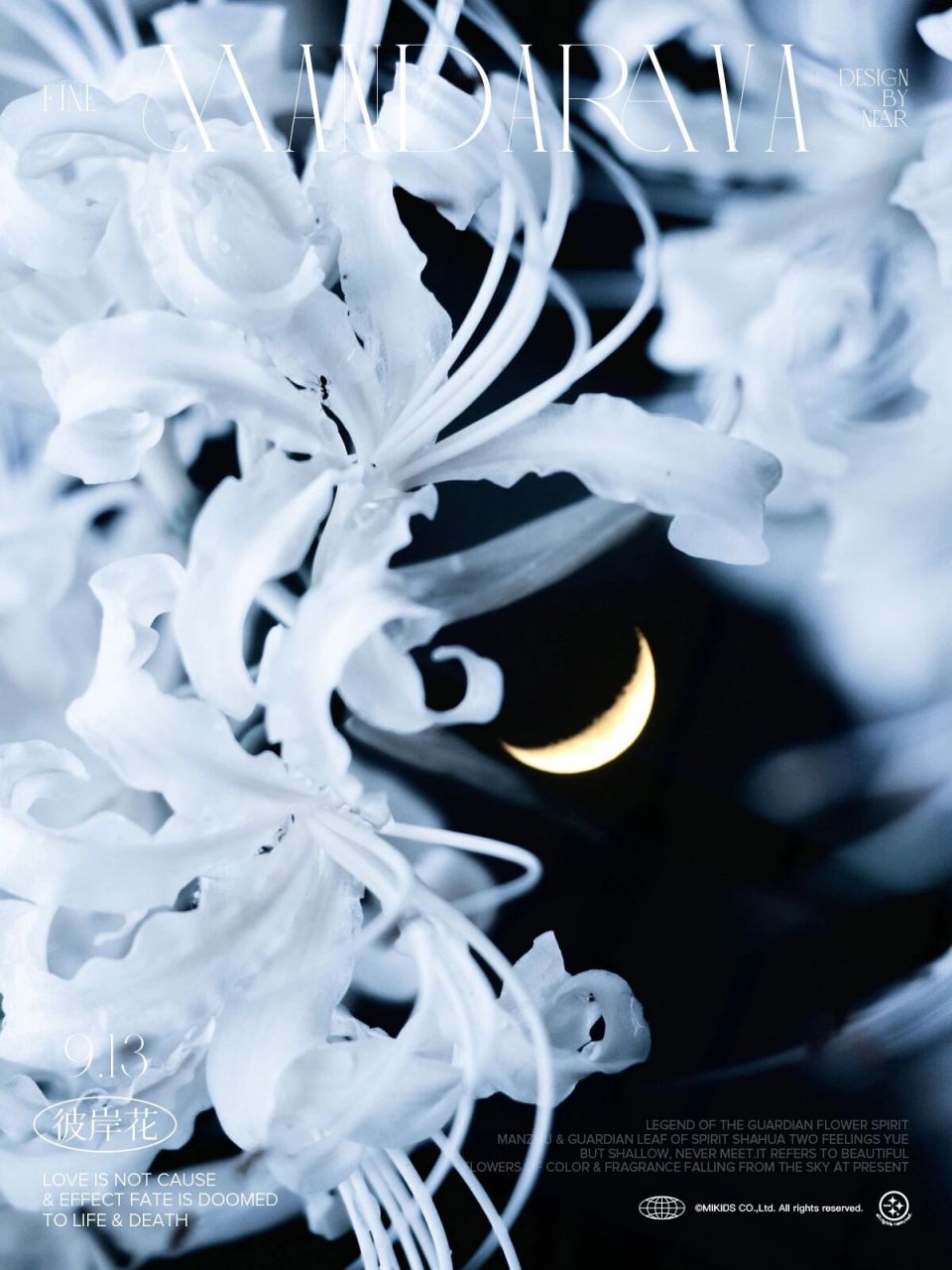 白色彼岸花是无尽的思念07 白色彼岸花又叫曼陀罗华,其花语是:无尽