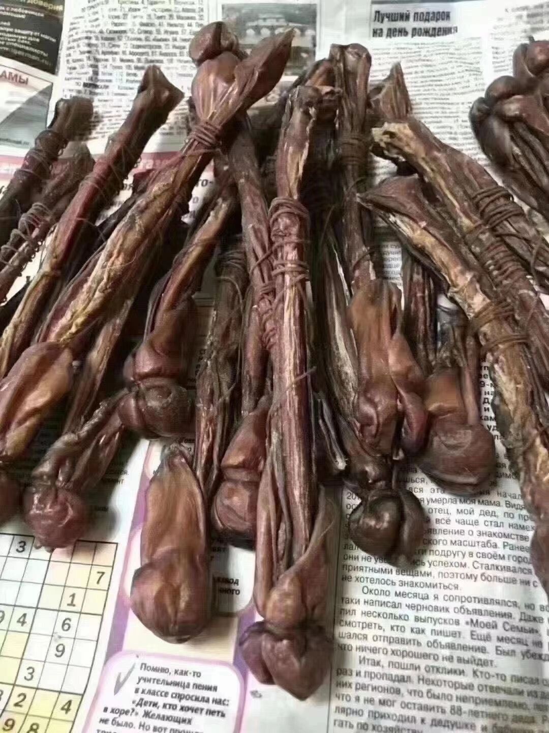 科学检测发现:海狗鞭中的"肾活性因子"含量是虎鞭和鹿鞭的30多倍