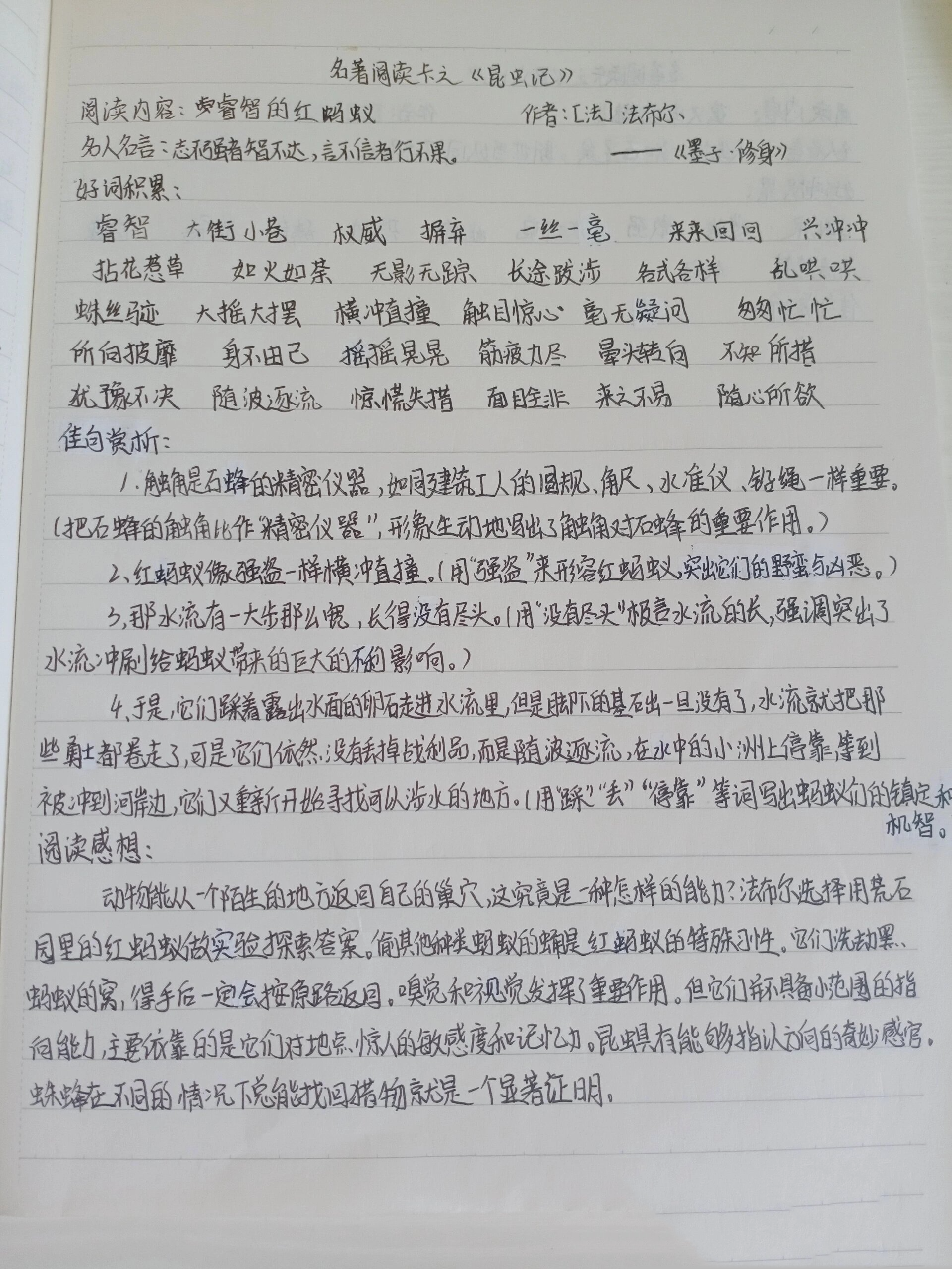 《昆虫记》 睿智的红蚂蚁  读书笔记