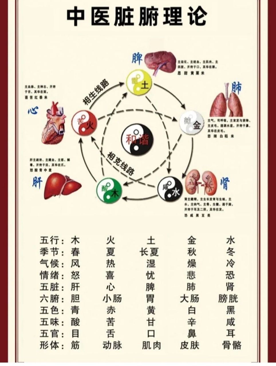 五行相生相克 这解释起来有点多呀,涉及到的是五行,阴阳平衡.