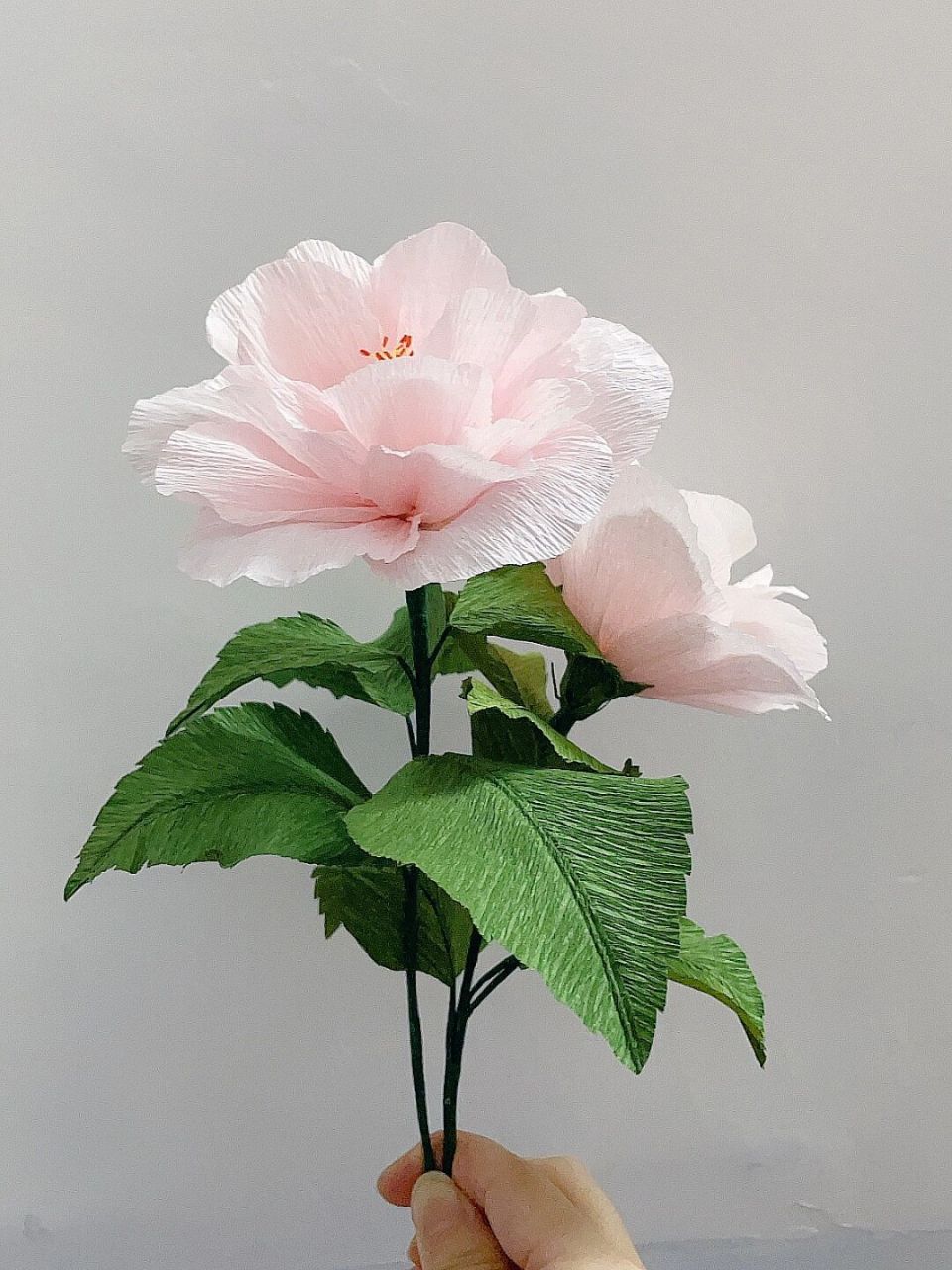 98褶皱纸花|手工永生花の浅粉色双芙蓉花 727272花の物语72