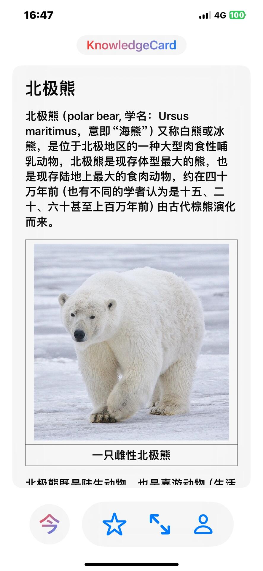 polarbearcub图片