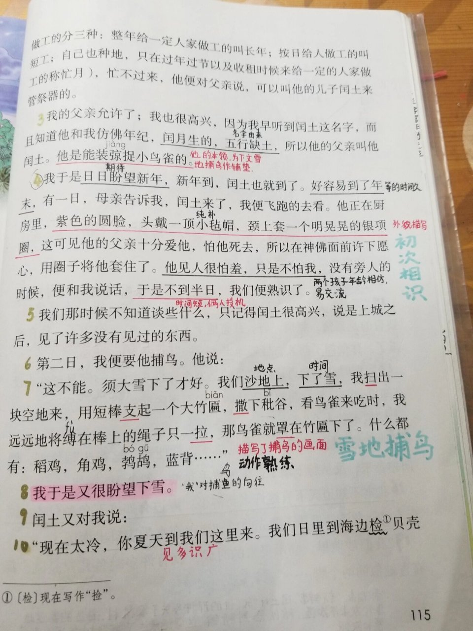 再见闰土课文原文图片图片