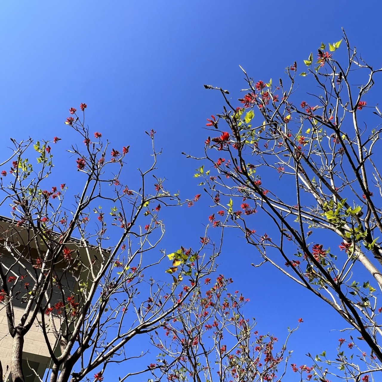 攀枝花普达阳光简介图片