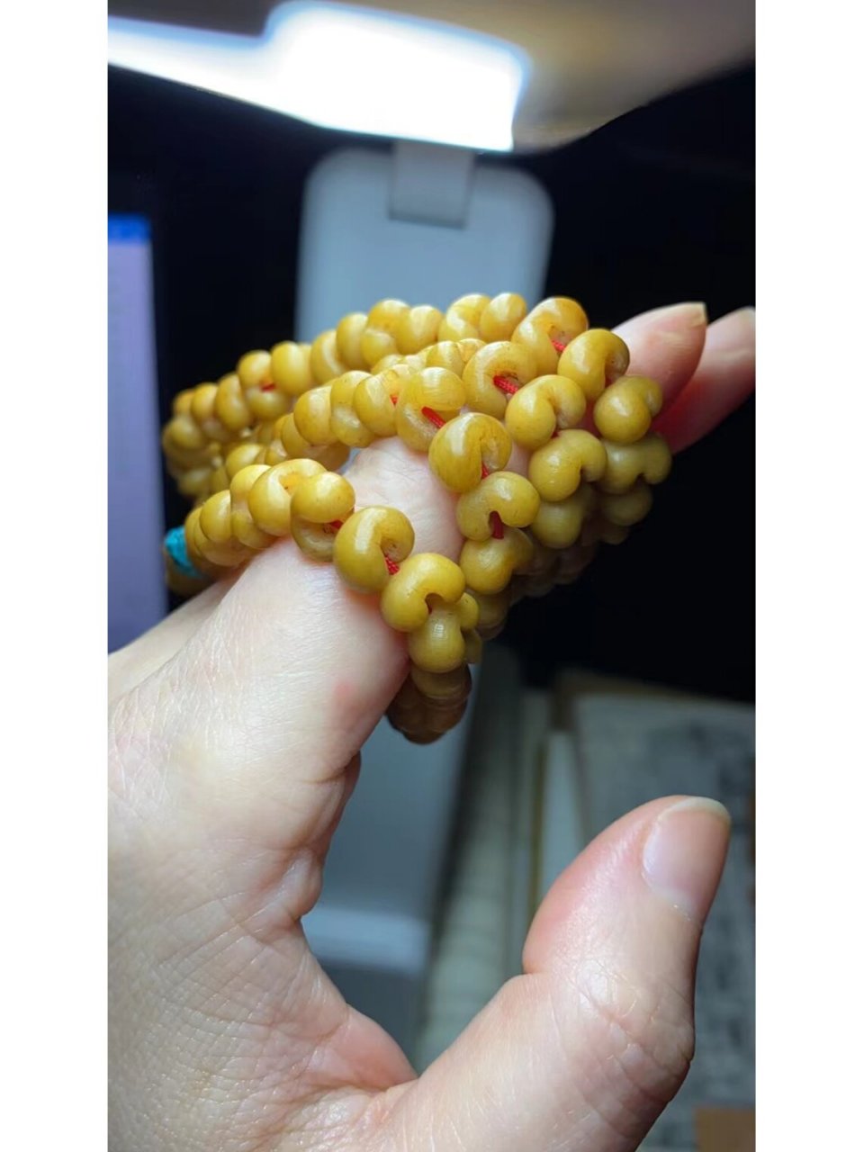 金佛草----觉悟智慧 一草二木三菩提,据说这里的一草有指"金佛草"