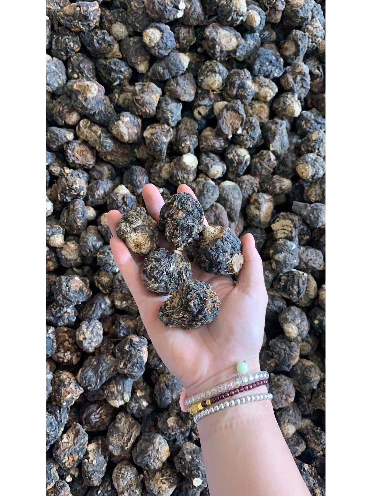 35——45块钱一斤 玛卡的功效可以补充身体所需要的维生素,蛋白质