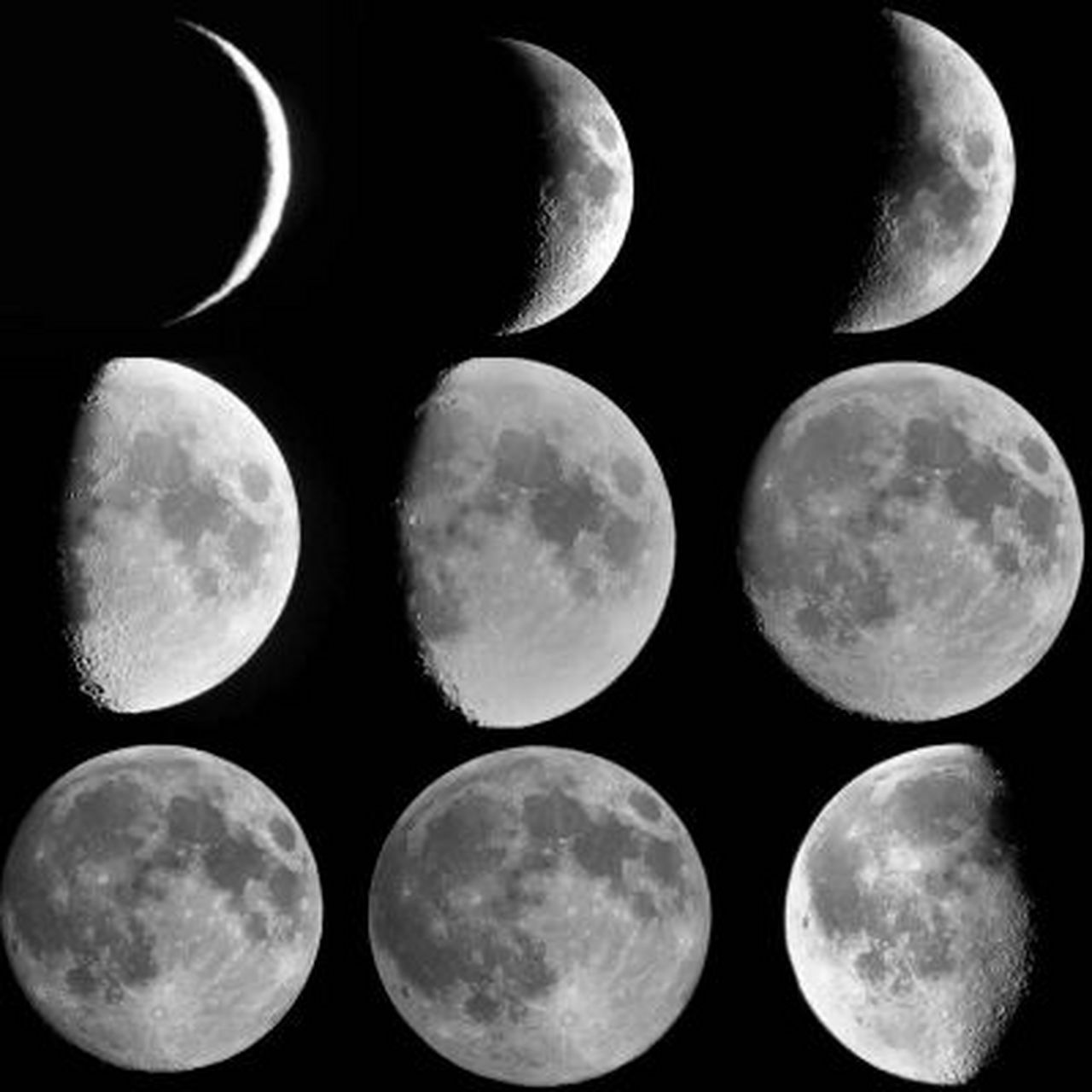 初一的月亮 月相图片