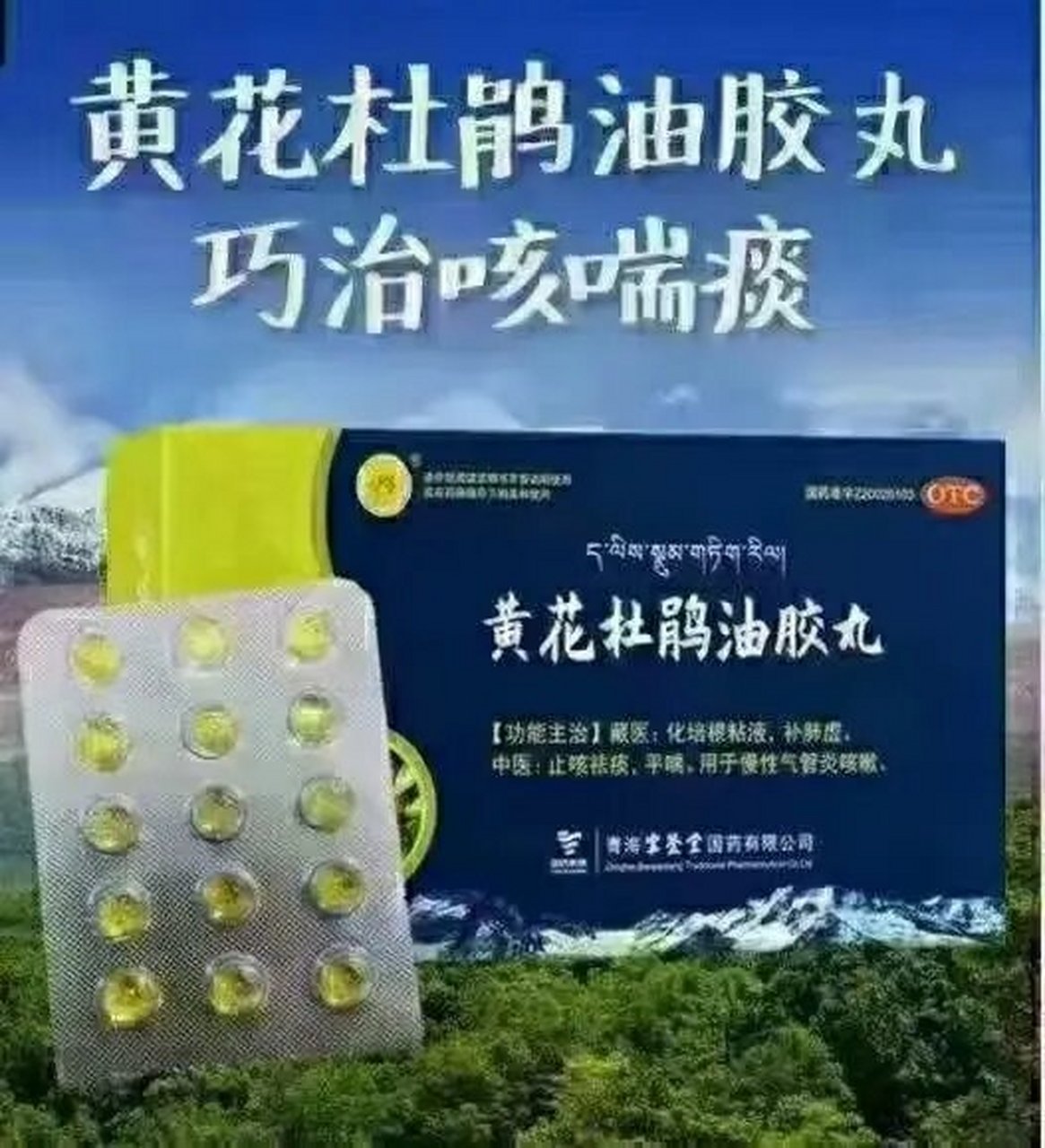 专治咳痰喘疾病的国药黄花杜鹃油胶丸 治疗多年气管炎支气管炎老慢支