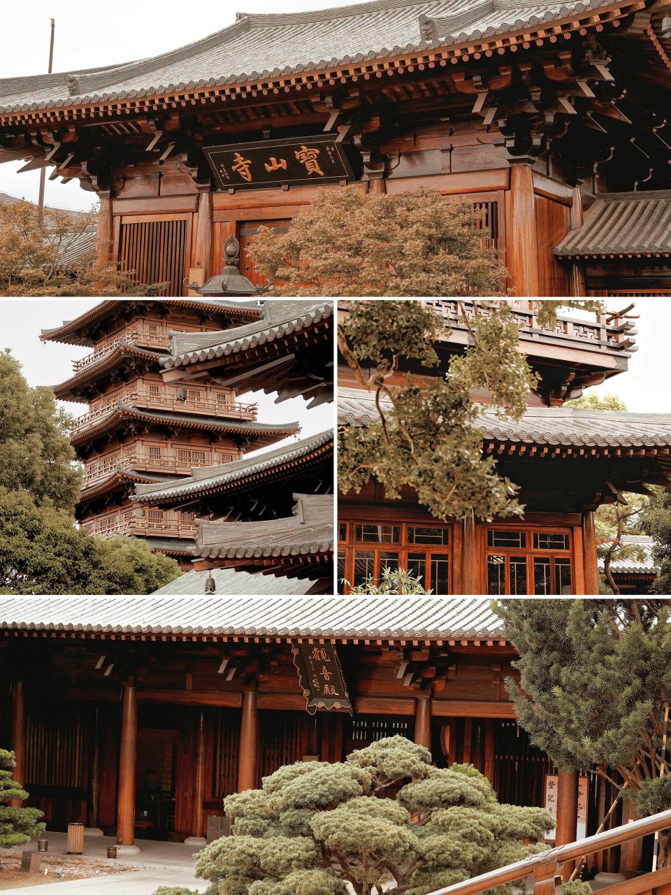 年轻人应该多去寺院逛逛7515上海宝山净寺游记  96作为魔都生活