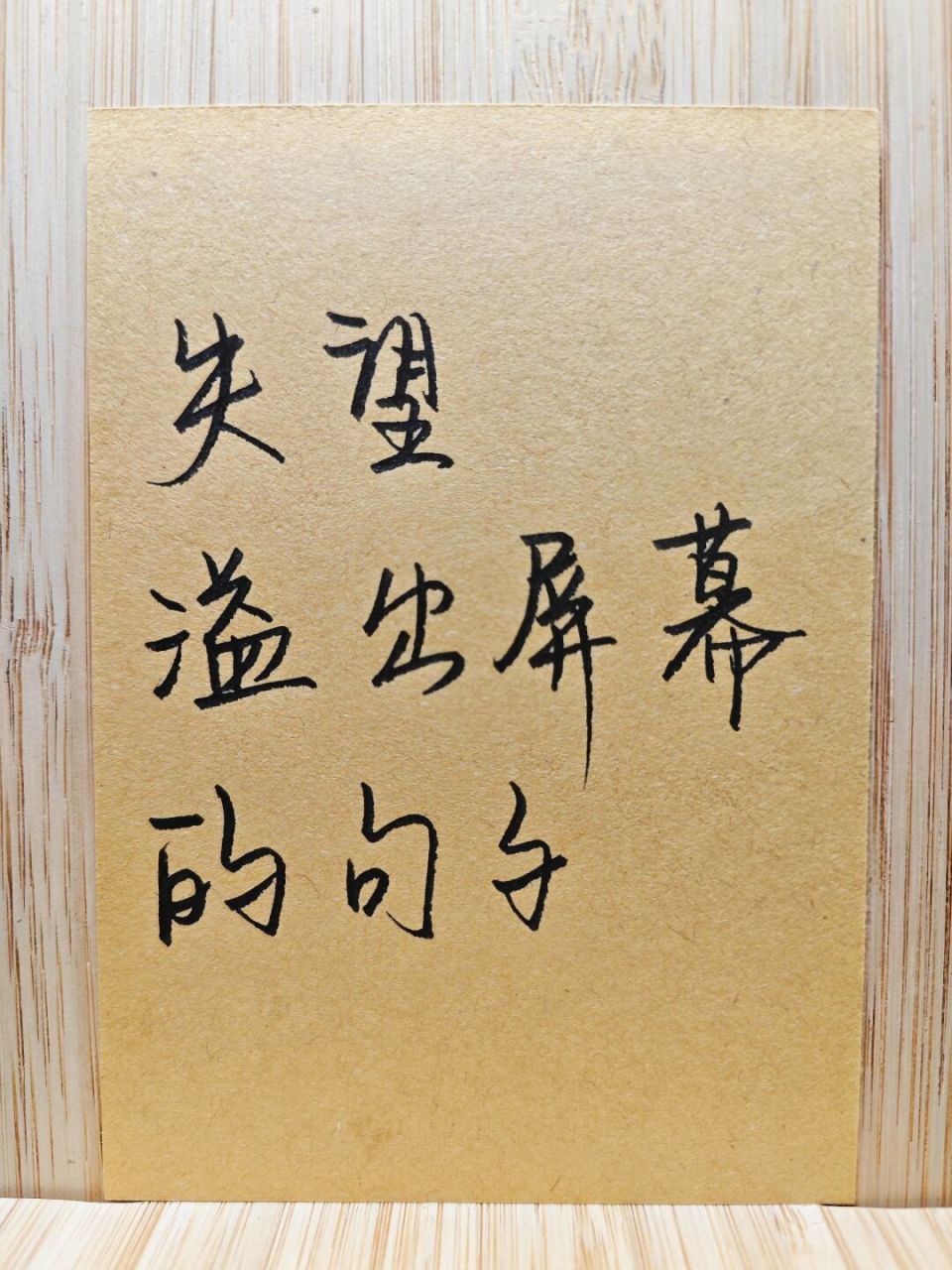 会emo的01 #手写文案# #文案# #玻璃心# #失望# #情感# #文案