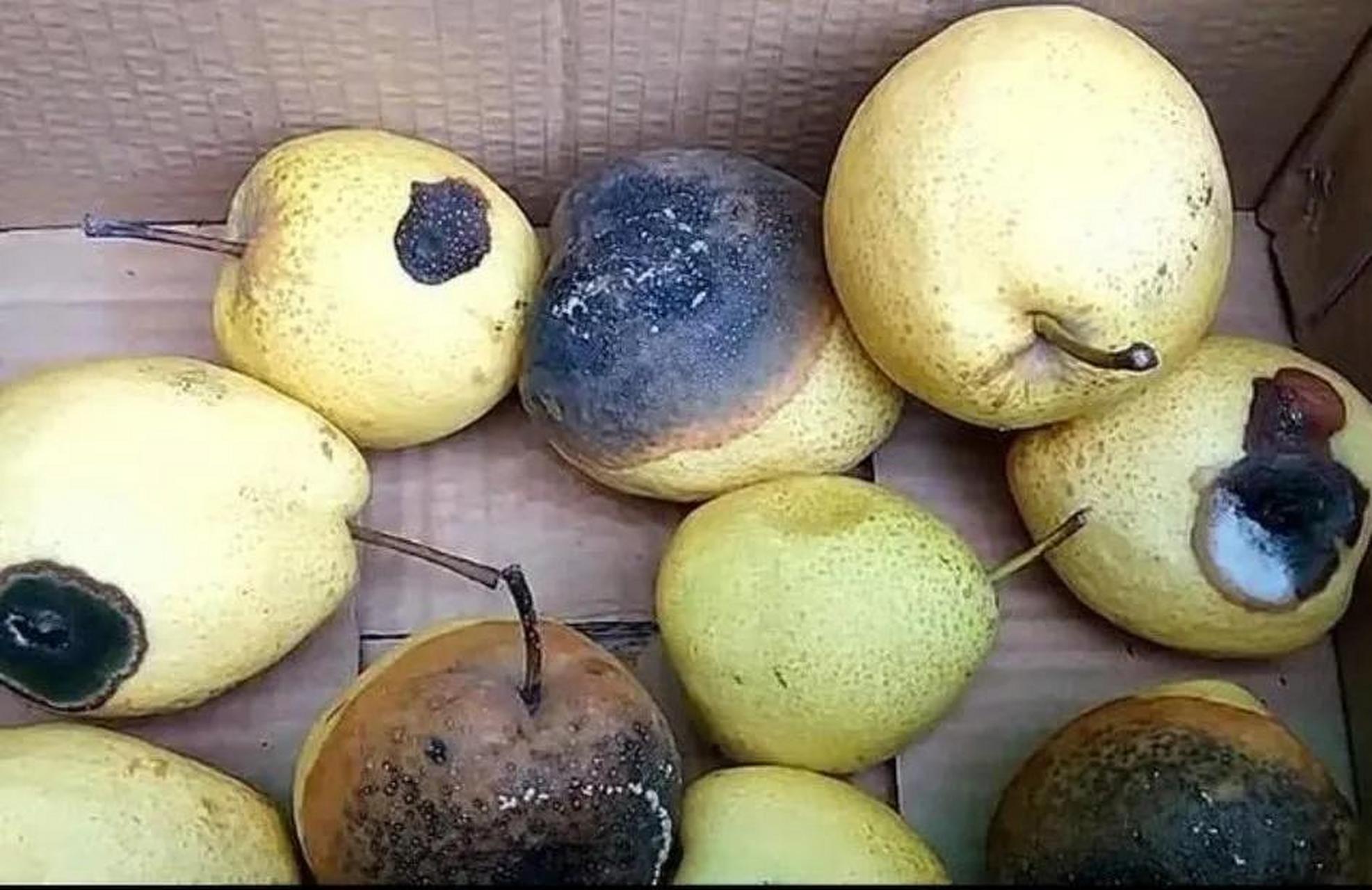 有人买了一箱梨,存放的时候,有的梨子开始腐烂,他怕烂的地方越来越