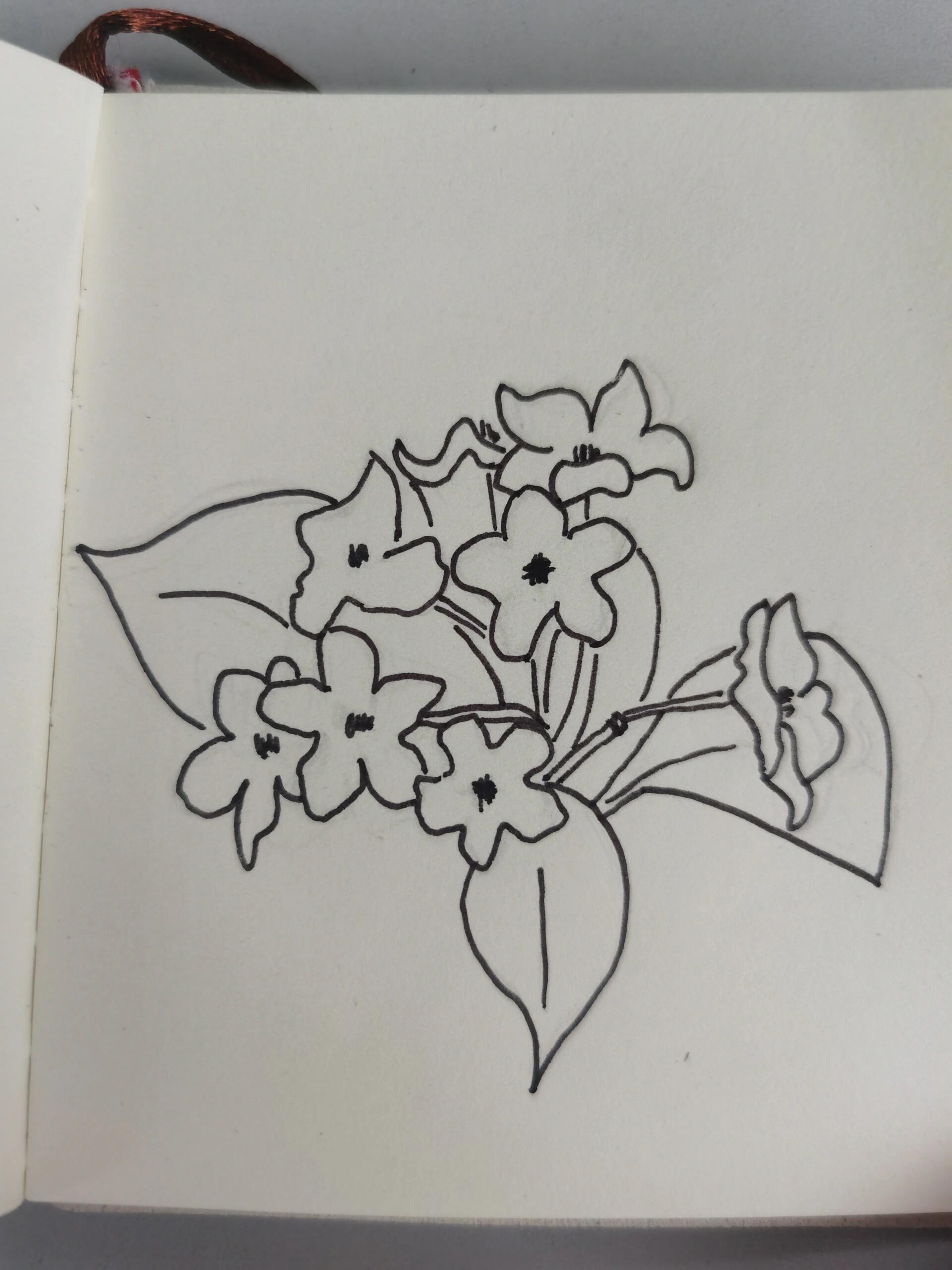 丁香花简笔画