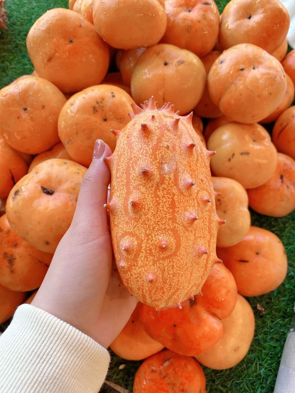 海参果06 海参果9012一个,味道清新,居然用吸管吃的,还送了百花蜜