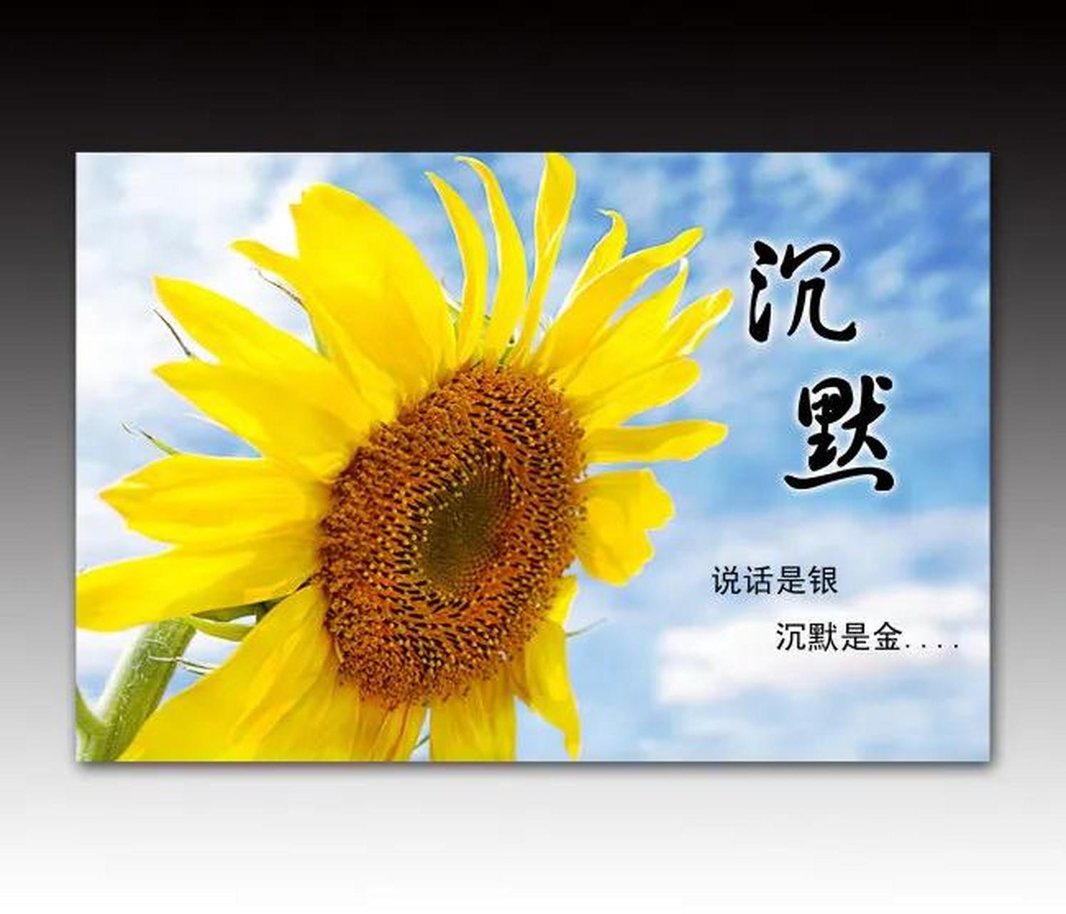 在别人嘲笑你时,你的不理不睬,反倒会让对方无地自容;他人无脑发言时