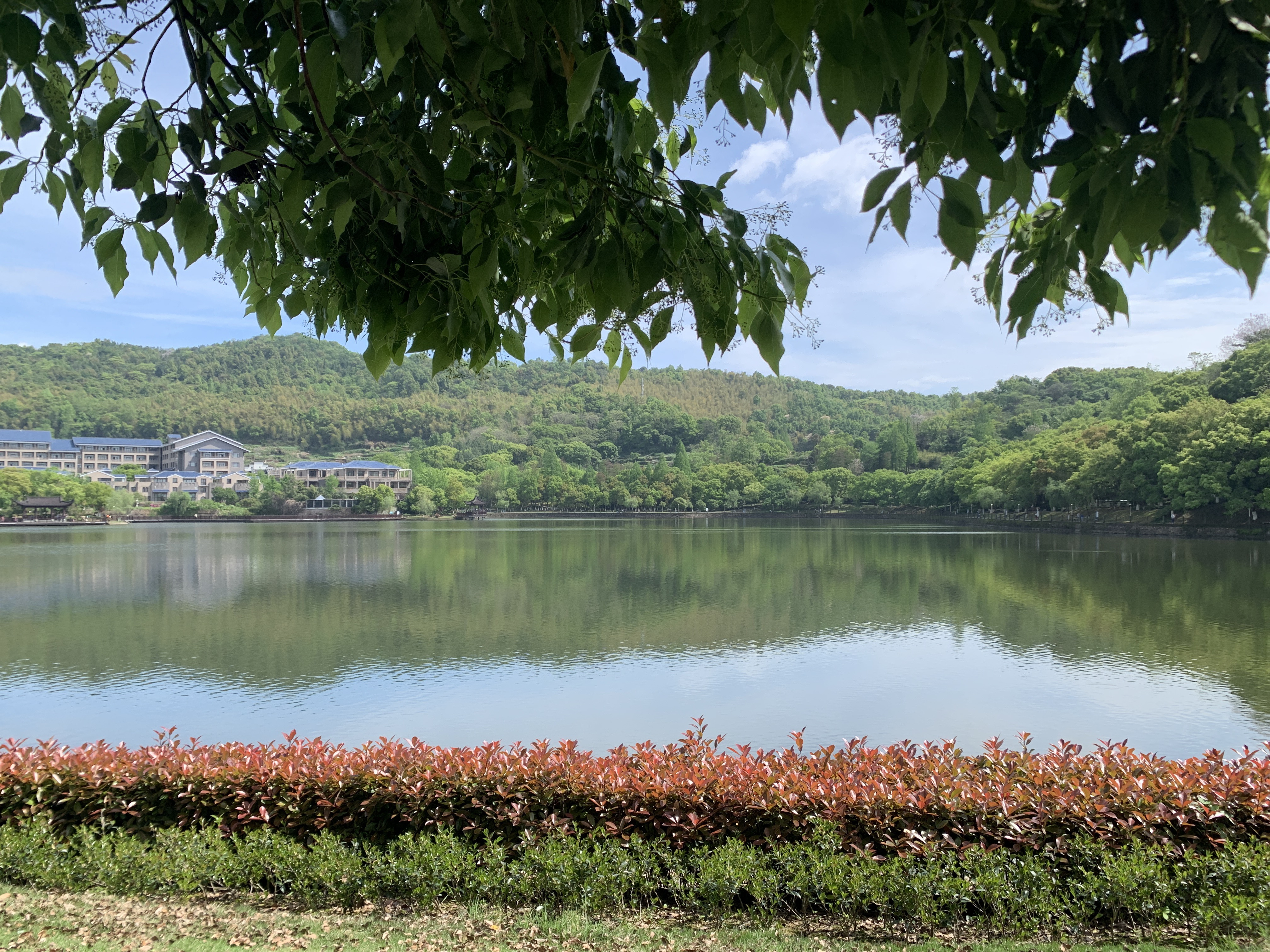 春末夏初的东谷湖风景