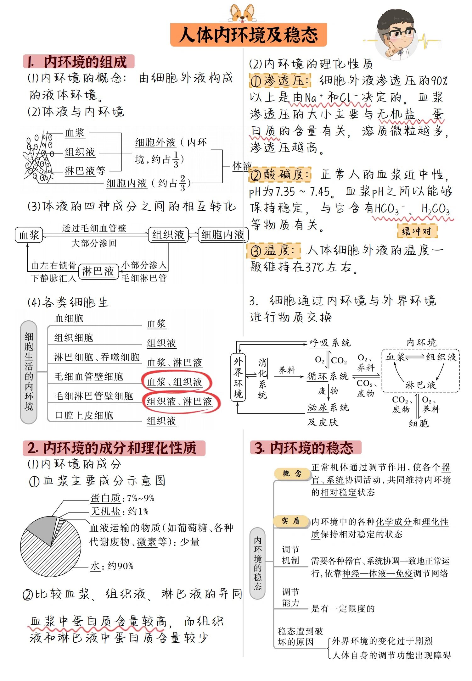 内环境稳态概念图图片