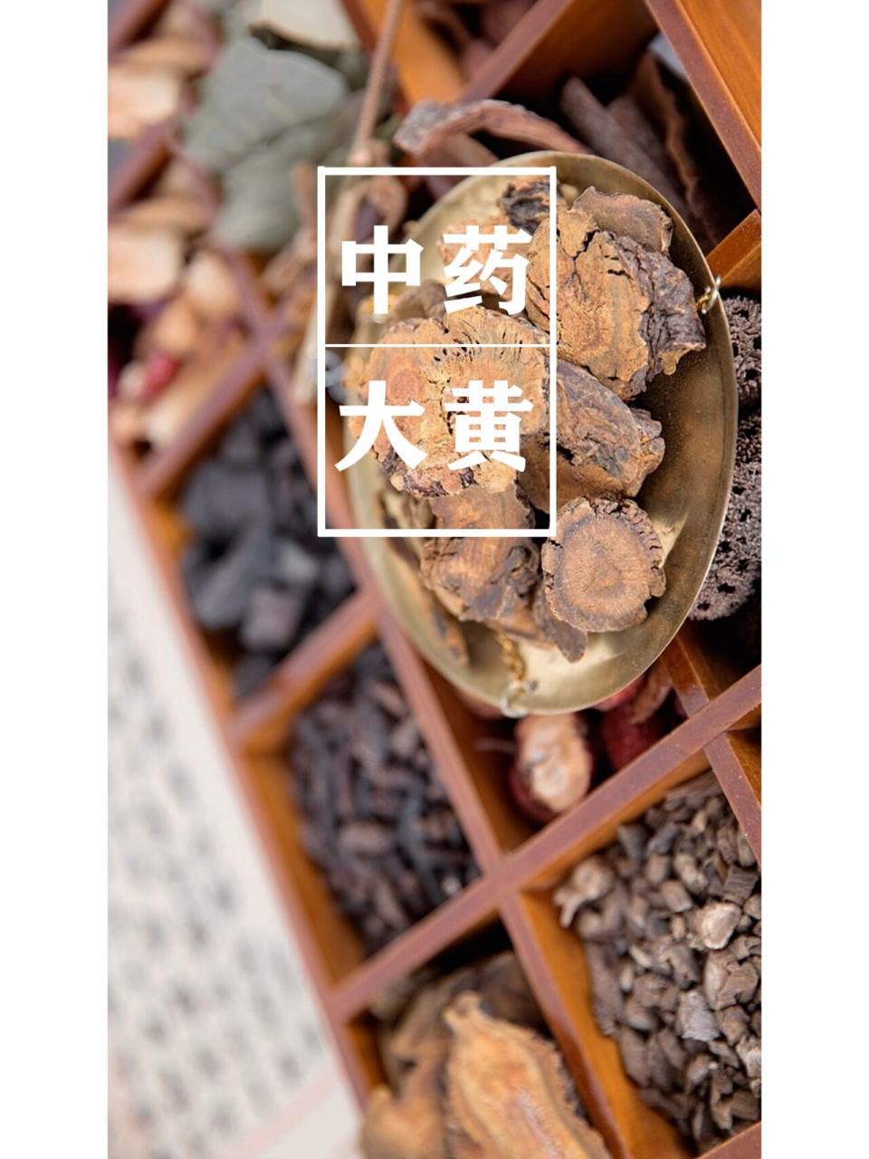 大黄 不仅补气养血,还美容养颜 药名:大黄 功能:泻下通肠,行瘀破积