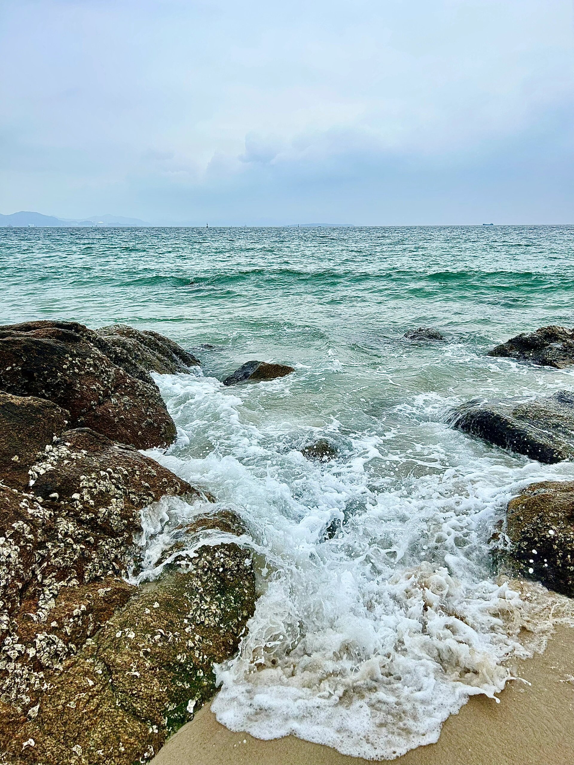 玫瑰海岸图片真实照片图片