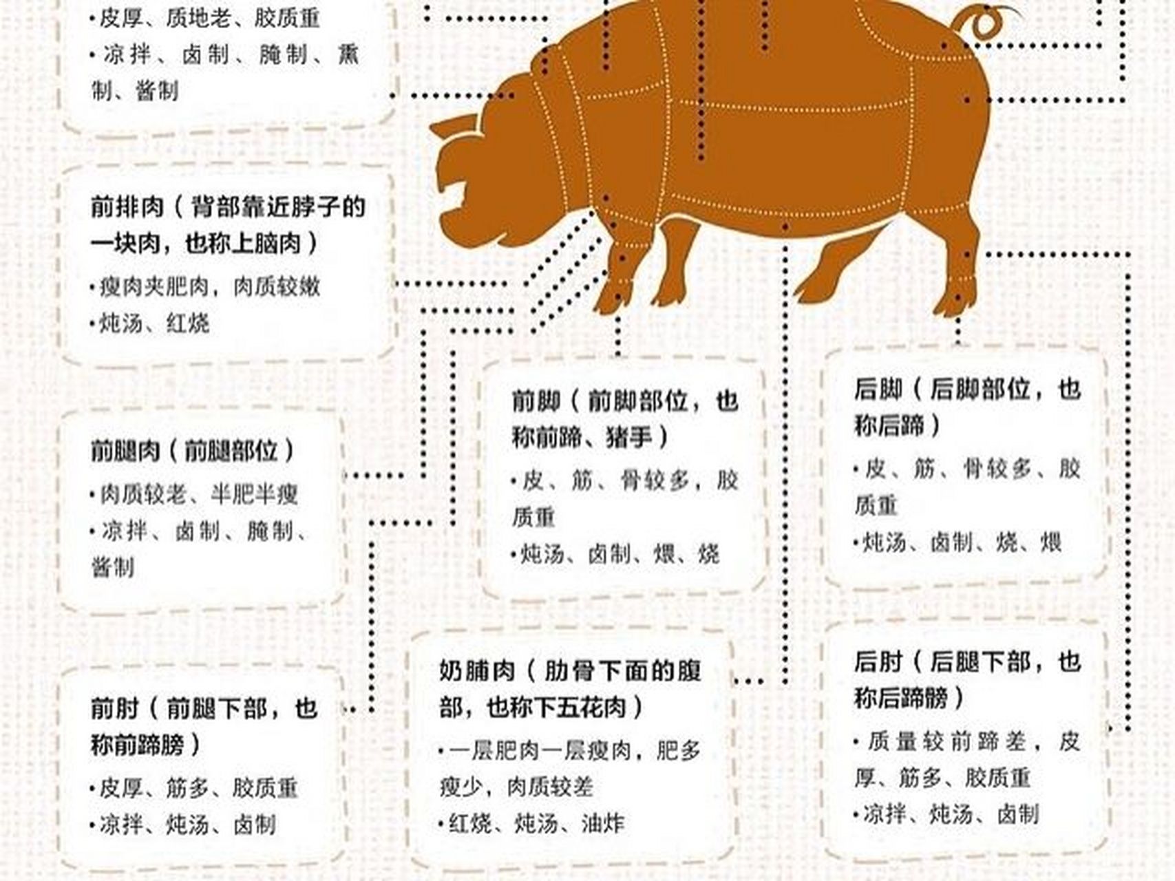 一张图教你认识猪肉各部位及最佳吃法73 虽然猪的部位比较多,但常用