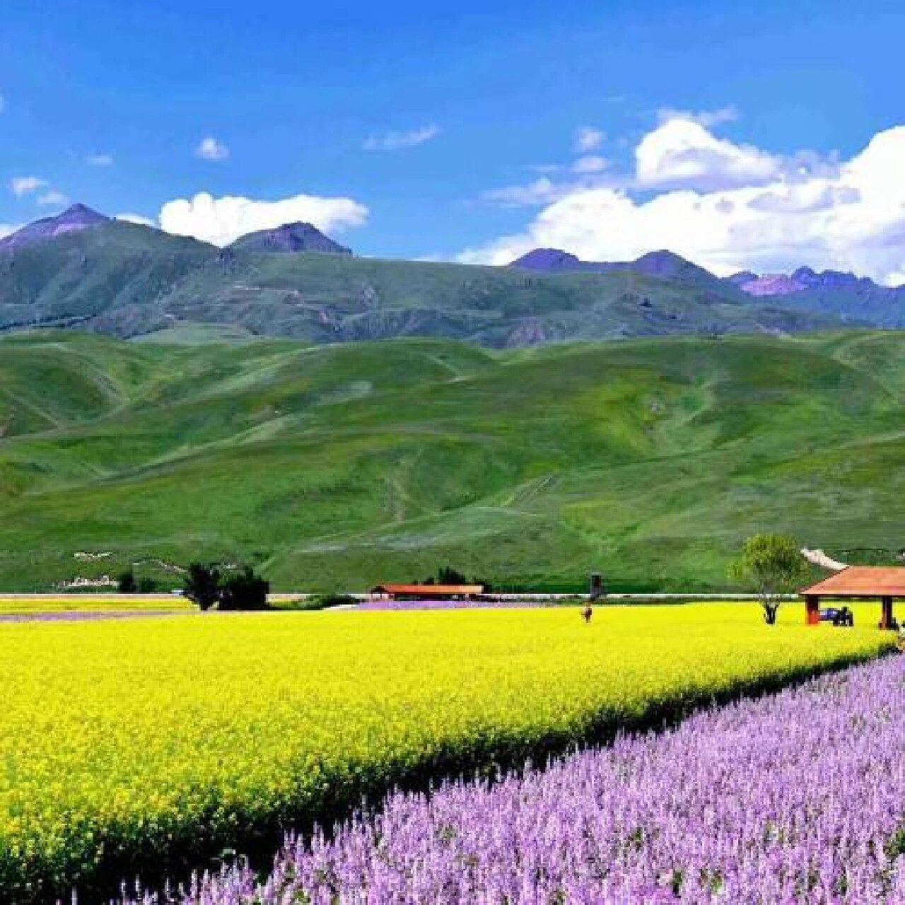 风景头像 #风景# #头像# #美景# #日出