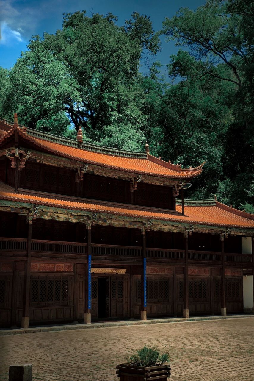 玉溪易门县,距离昆明100公里左右,驾车约2小时左右,现在正是吃菌的好