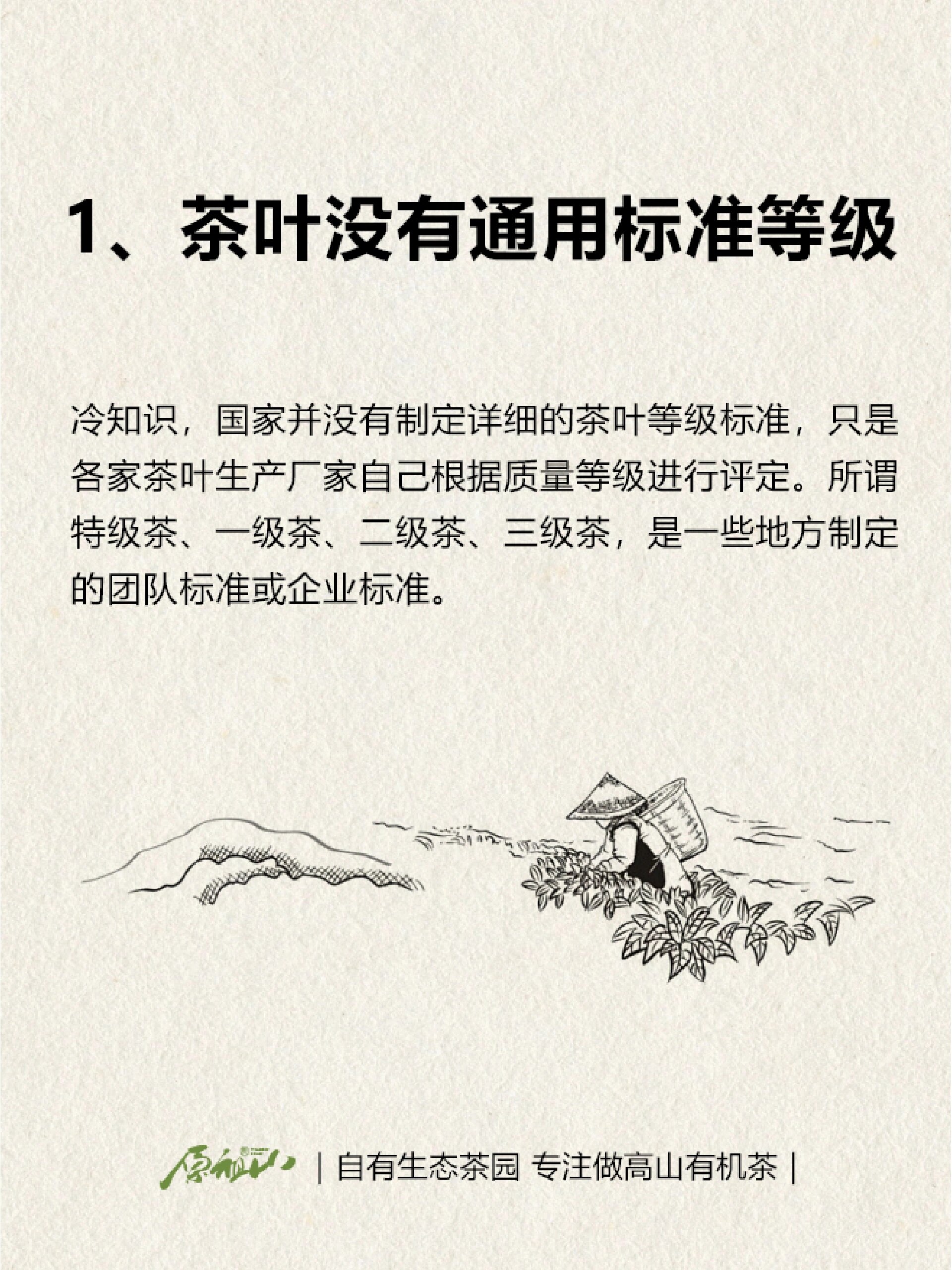 揭露茶叶行业的几个套路黑幕7215买茶必看73