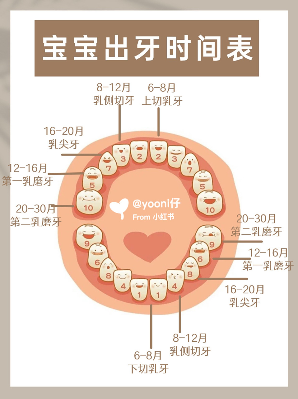 宝宝出牙时间表及注意事项 宝宝一般在4-10个月萌出第1颗下门牙,下