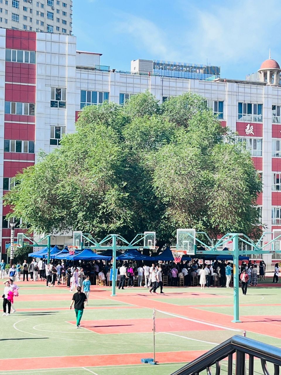 乌鲁木齐市第八中学校园开放日