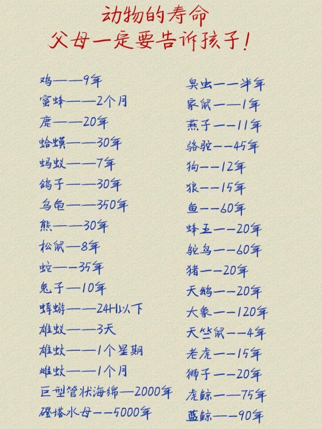 动物寿命100排名表图片图片