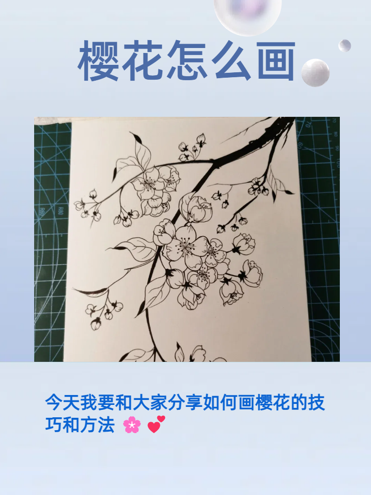 樱花手抄报简笔画图片