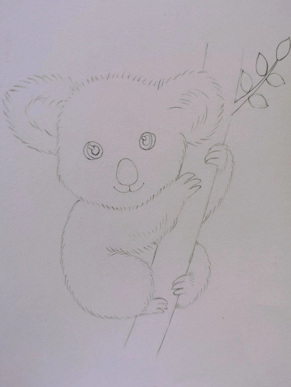 彩铅画树袋熊考拉 彩铅入门 附步骤图