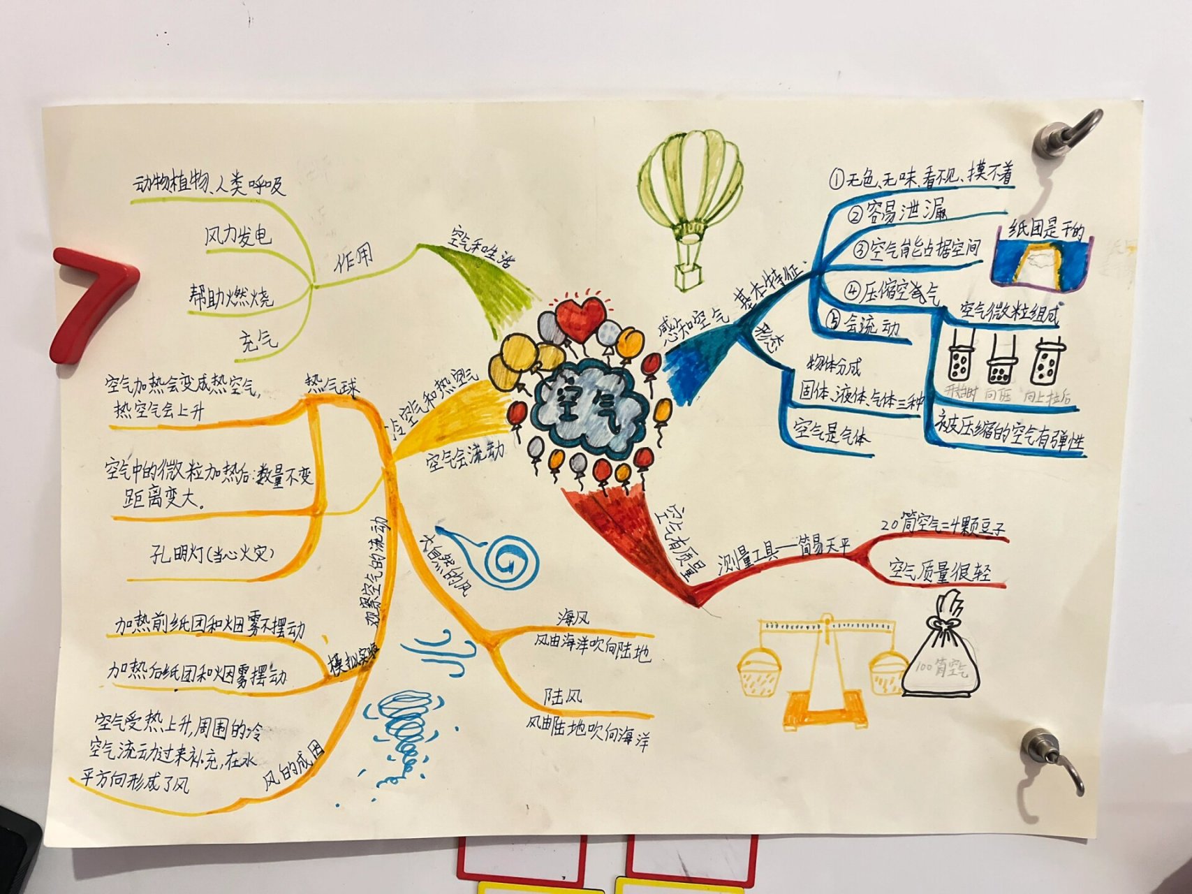 三年级上册科学导图图片