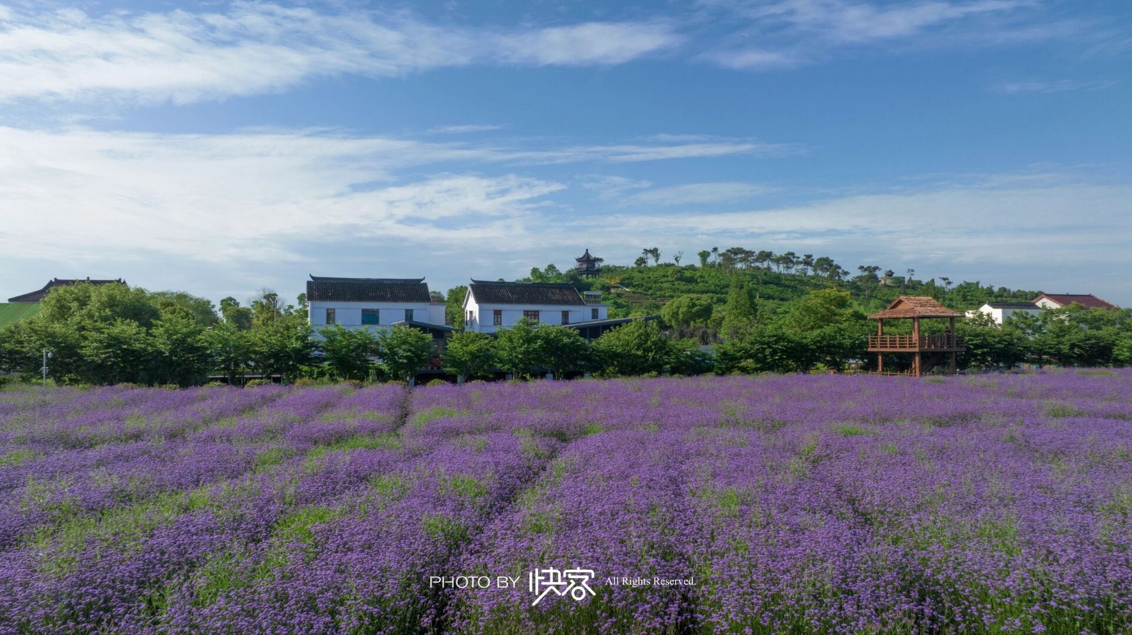 铜官山 常熟铜官山.#常熟# #铜官山