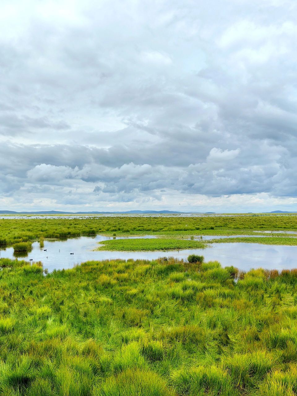 若尔盖花湖攻略9015(文末附9015) 90门票: 全票95110