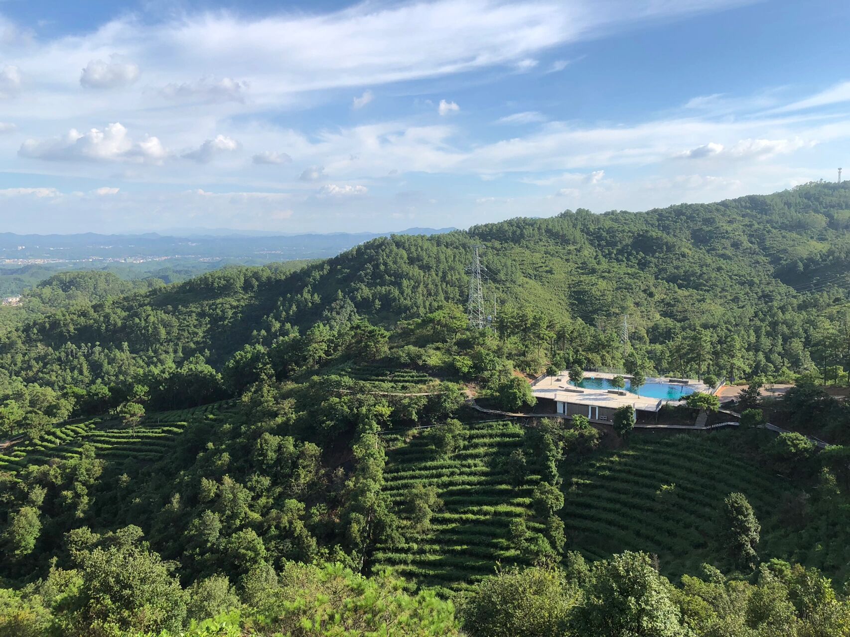 茶山最美/古劳生态园茶园 上来茶山有好几次了 印象都是多车,吃的鸡也