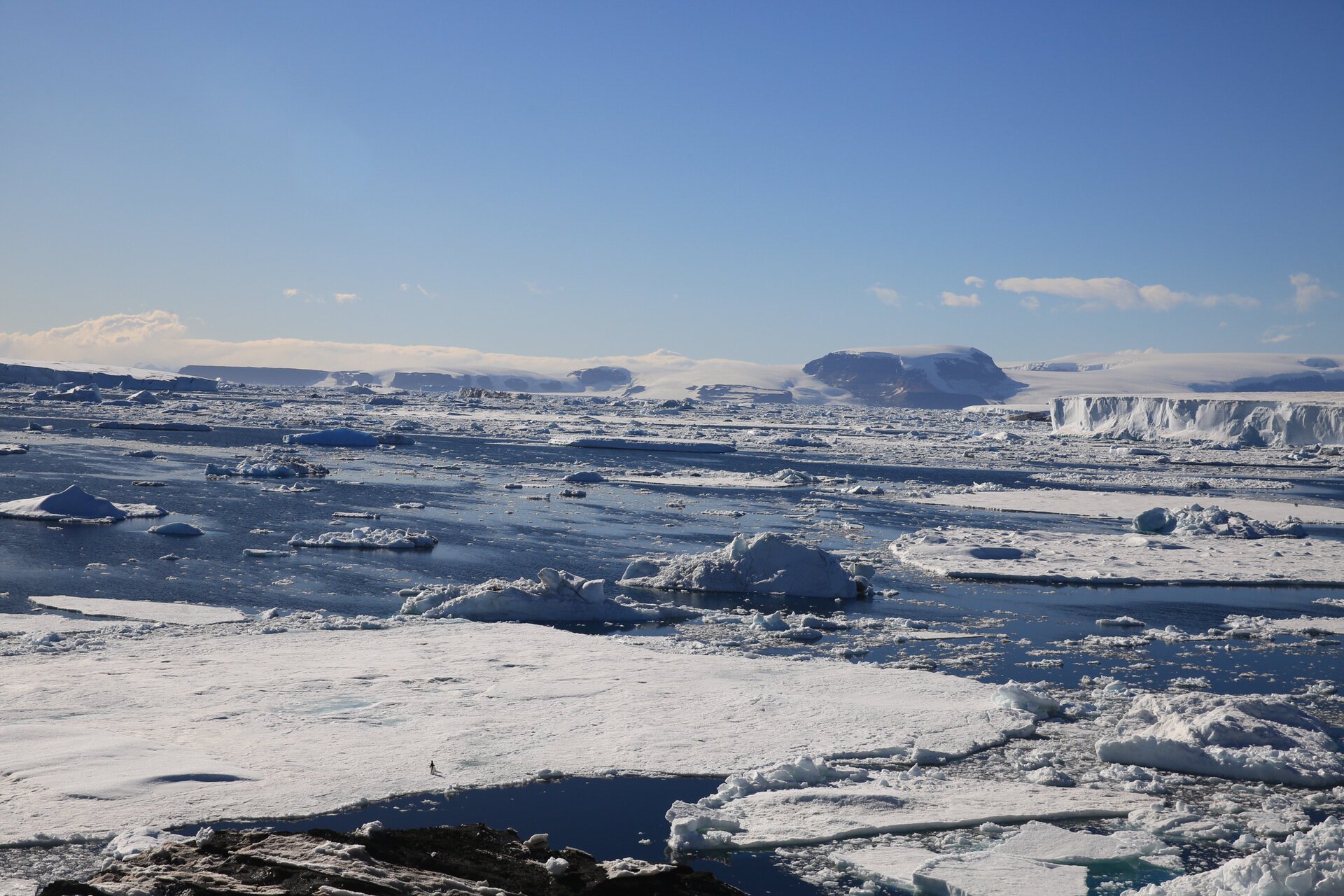 极地之及 | 冰架,冰川,冰盖,冰山傻傻分不清 提问:撞上泰坦尼克的是是
