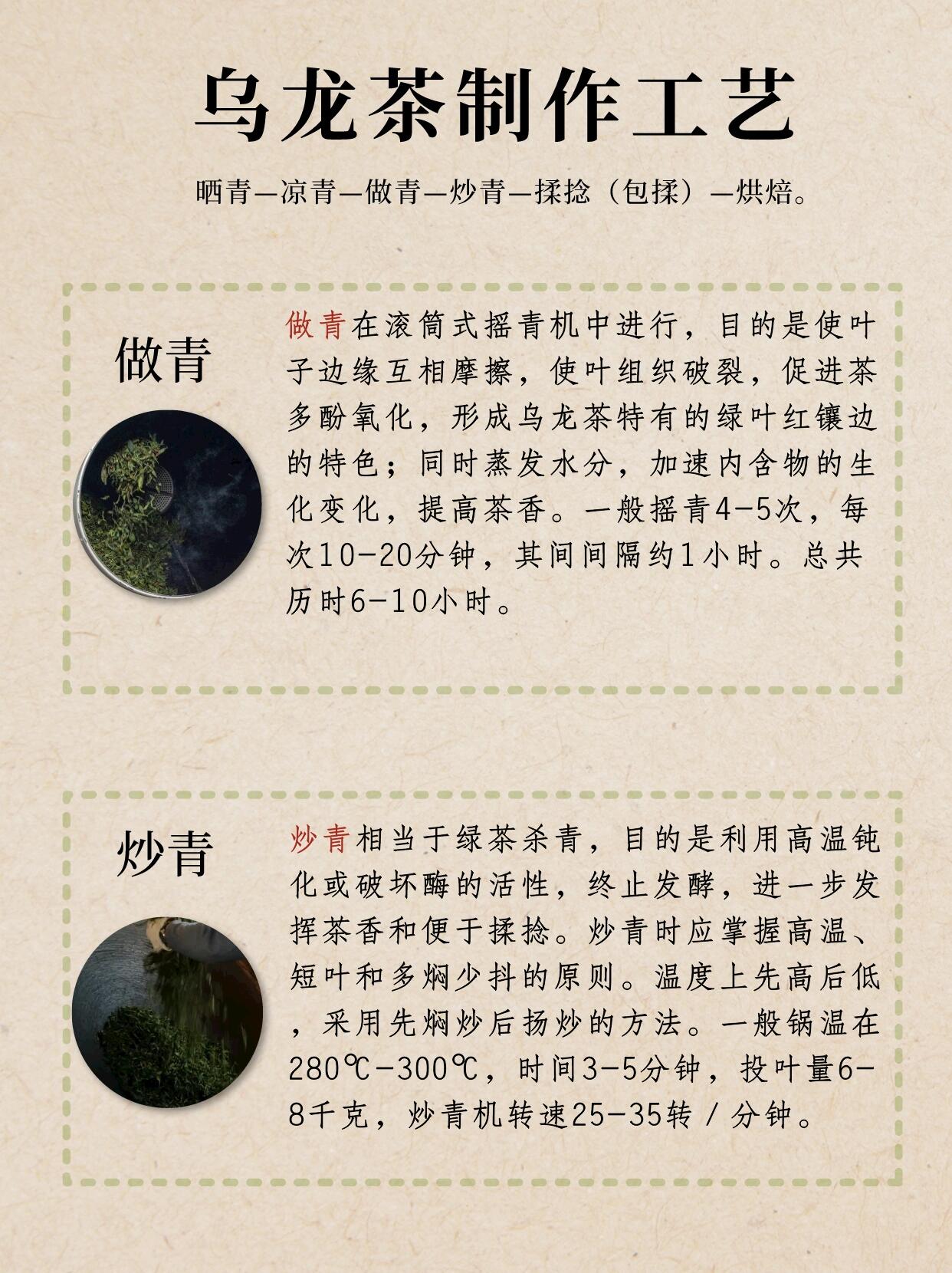 乌龙茶制作工艺