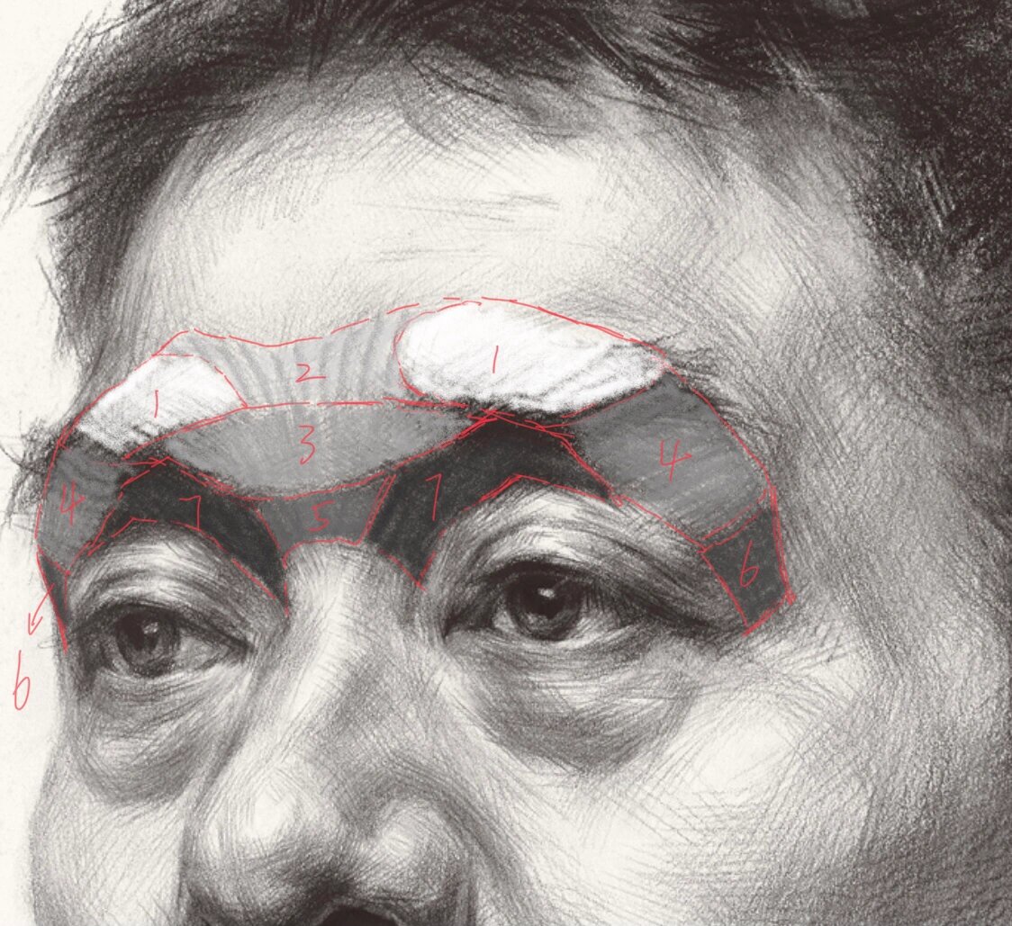 素描头像眉弓骨