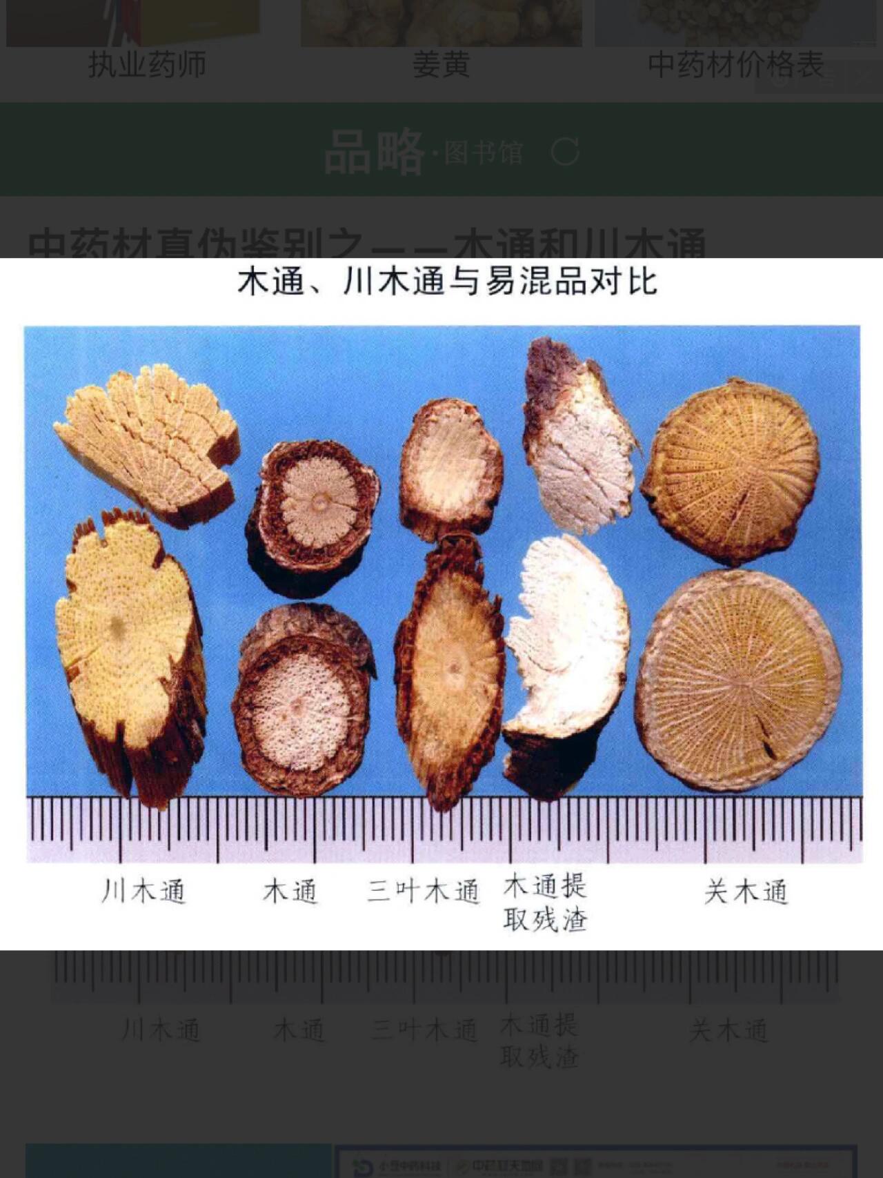 木通,川木通,关木通