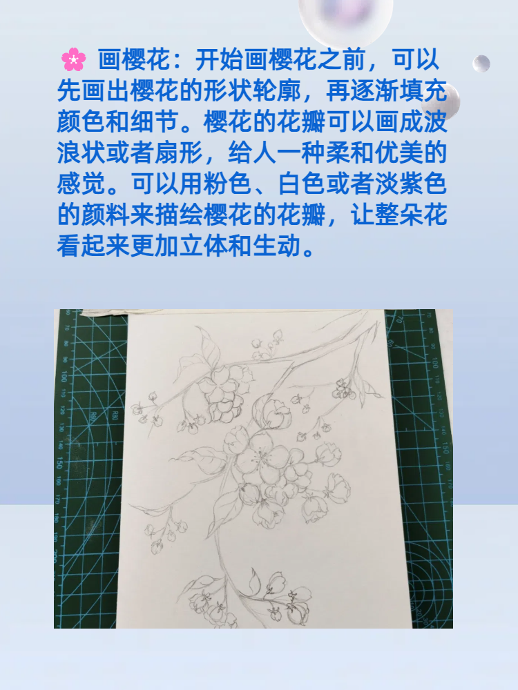 樱花怎么画