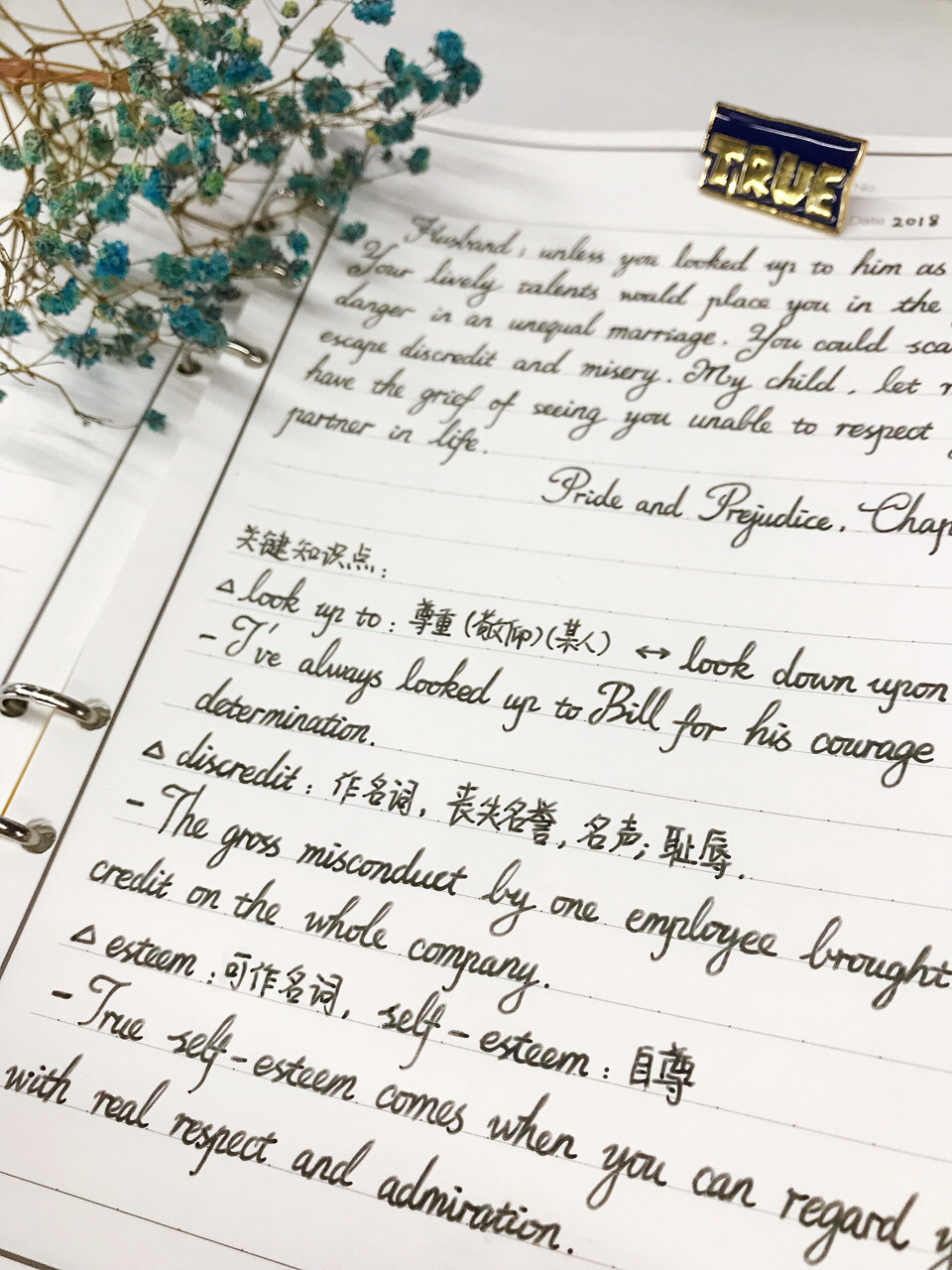 7878每日英语美文分享96look up to someone 是指抬头看某人