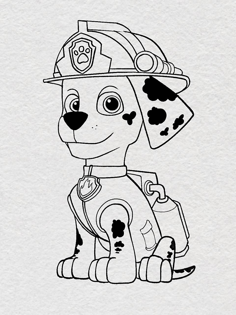 大家催更的汪汪队-毛毛来了