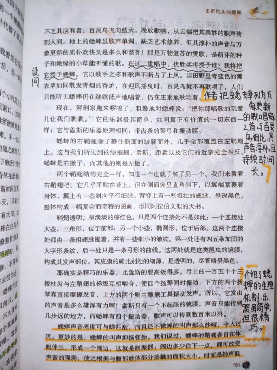 《昆虫记》第一章 第十六节~田野地头的蟋蟀