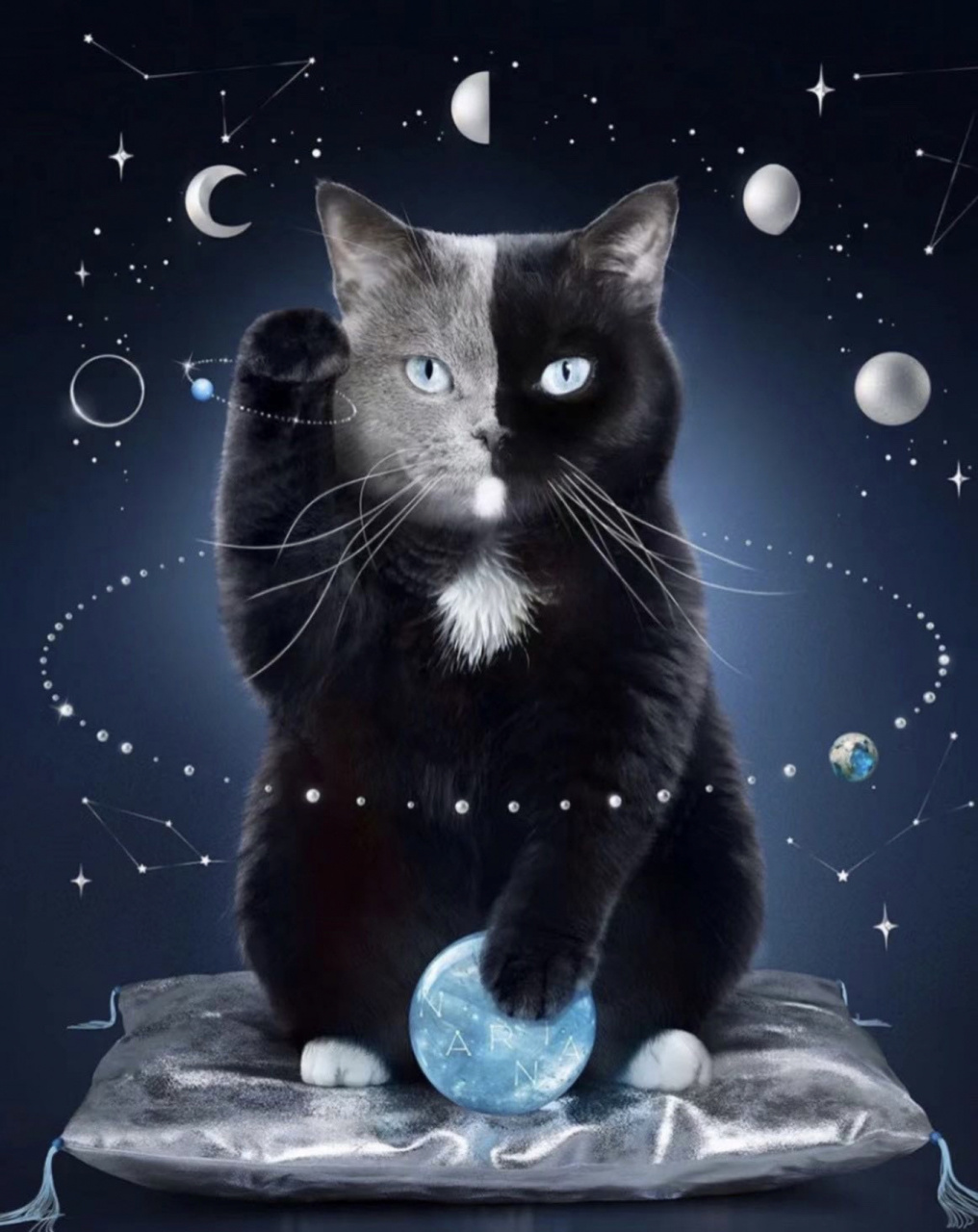 恭喜发财93有趣的招财猫手机壁纸