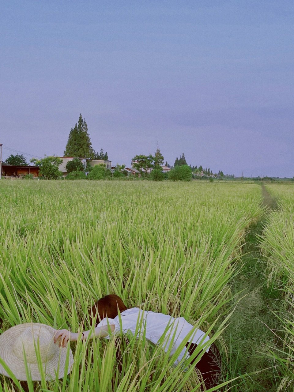 回老家的快乐|稻田拍照 少女感 很怀念小时候的生活时,那就夏天回老家