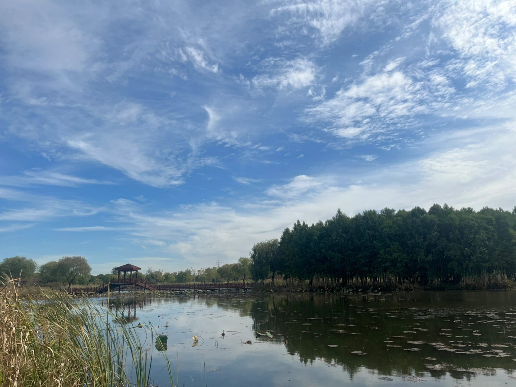 古黄河湿地公园 应该算是淮安小众景点了 在清江浦区淮阴区涟水县的