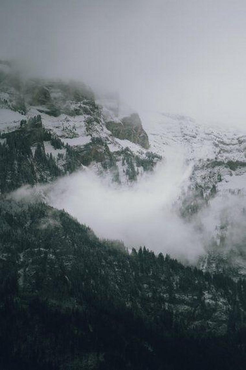 梁实秋的同学张心一是甘肃人,喜食葱蒜;其妻是江苏人,家里忌食葱蒜.