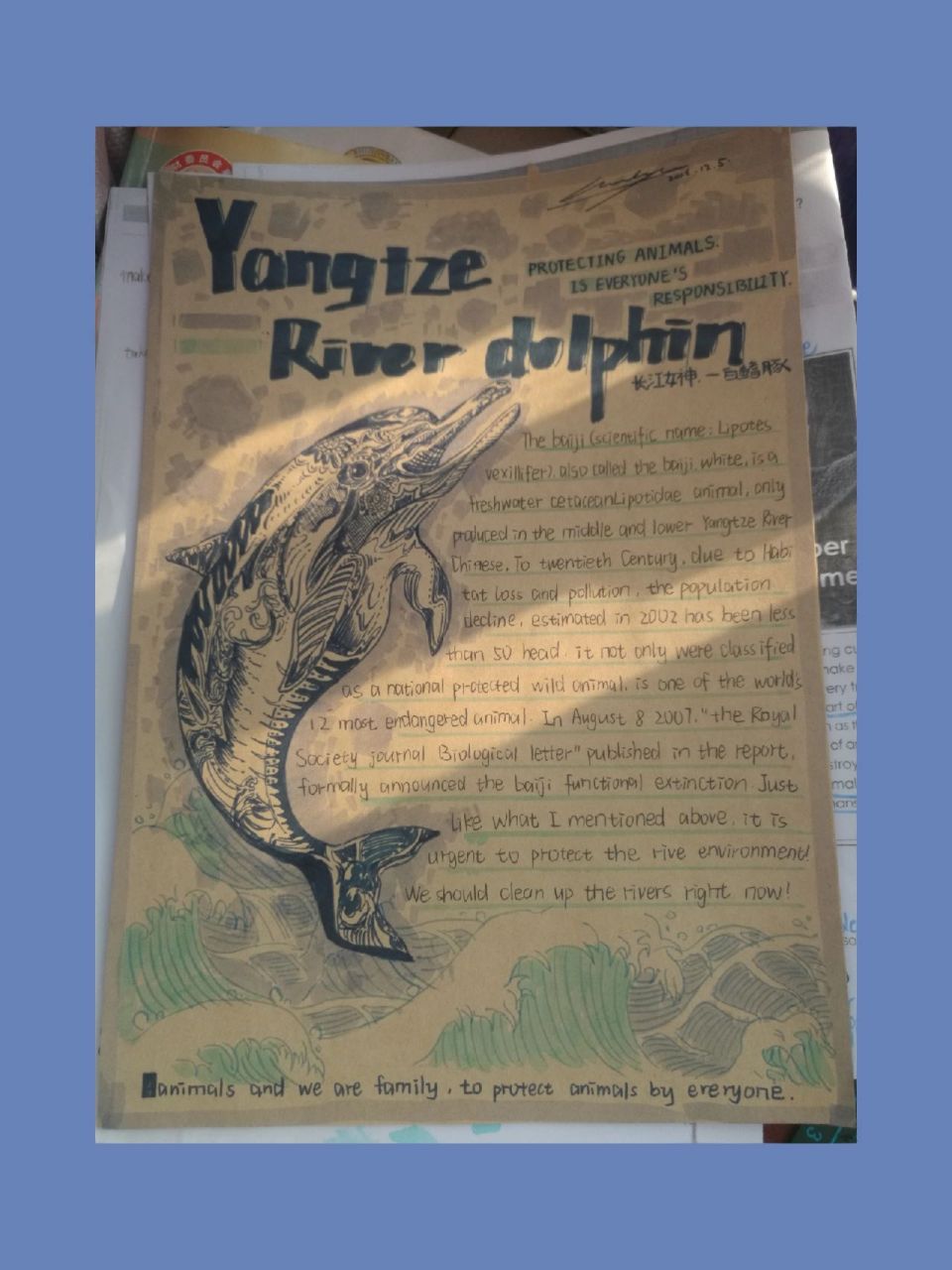 保护白鳍豚英语海报 animals  and  we  are  family,to  protect